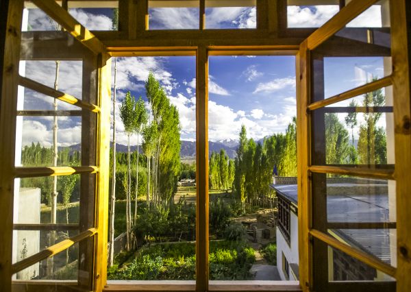Wood Window Replacement in Crystal River