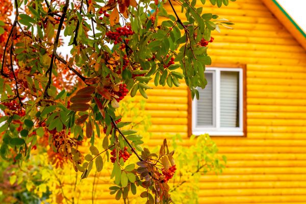 Garden Window Replacement in Crystal River